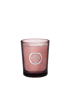 Maison Berger - Black Angelica Duality Scented Candle